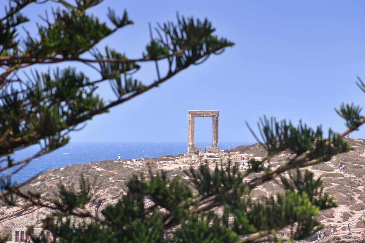 Mariet Naxos Spa & Suites Naxos City Zewnętrze zdjęcie